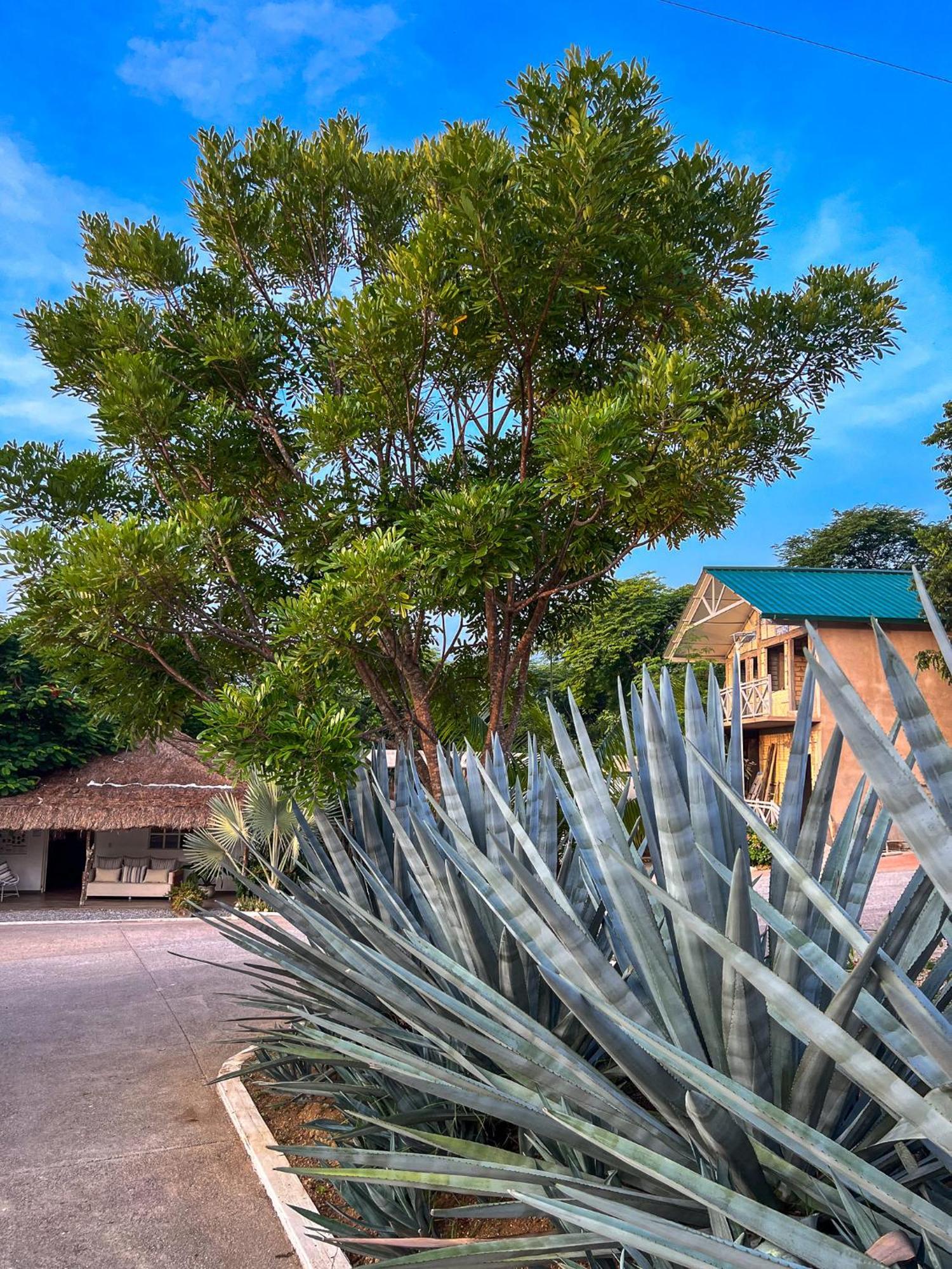 Villas El Encanto ฆาลปาน ภายนอก รูปภาพ